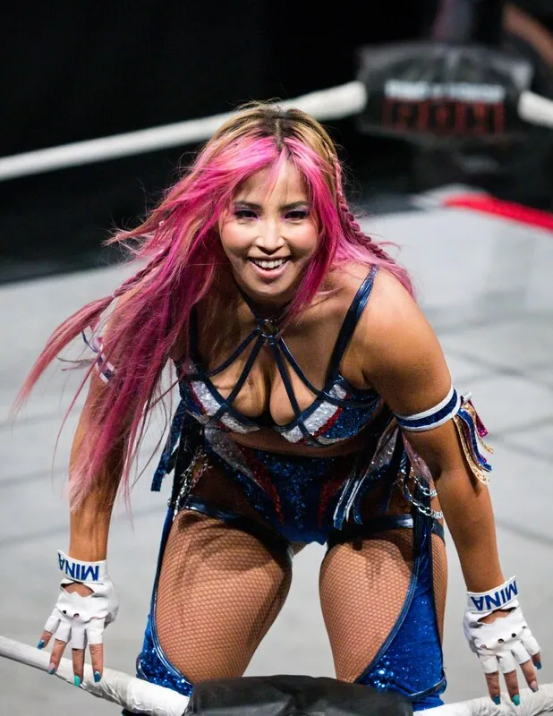 Mina Shirakawa camshow
